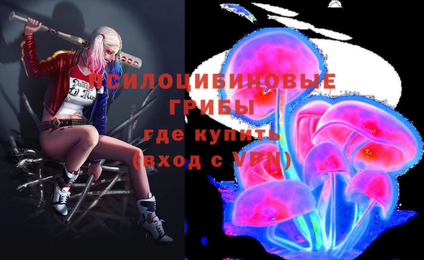 стаф Лихославль
