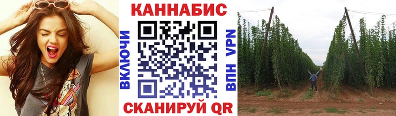 Конопля планчик  Купить где  Бакал 